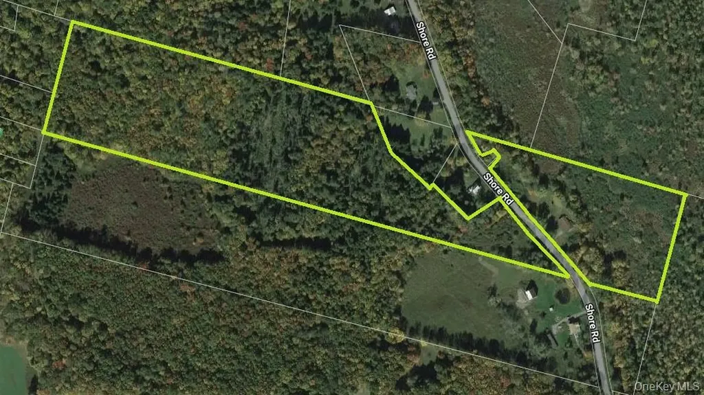 153 Shore Road White Sulphur Spring NY 12787