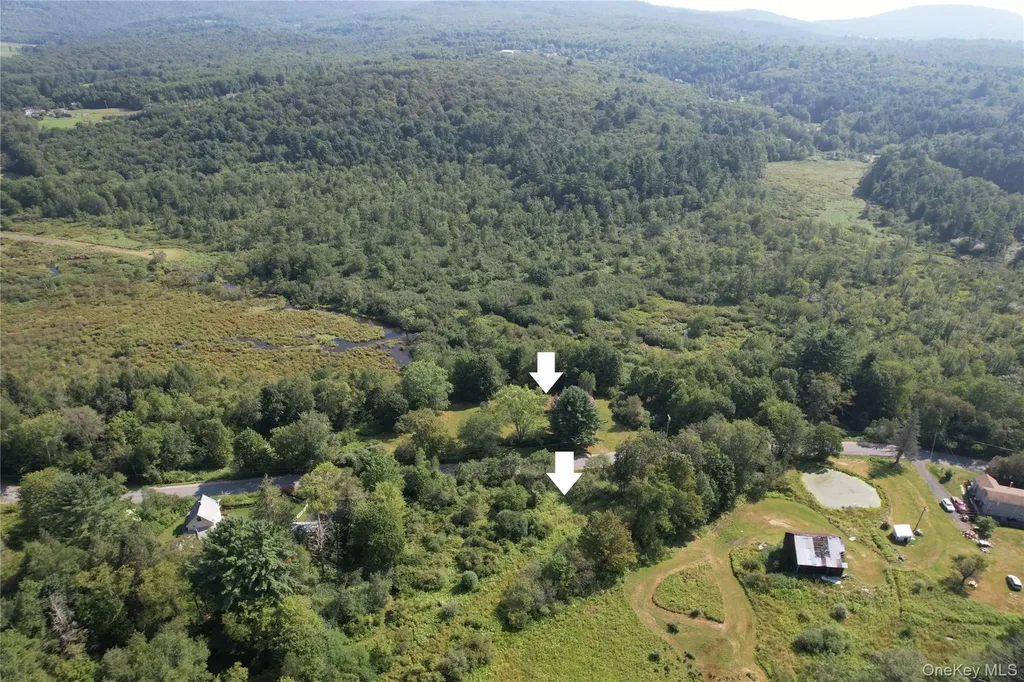 153 Shore Road White Sulphur Spring NY 12787