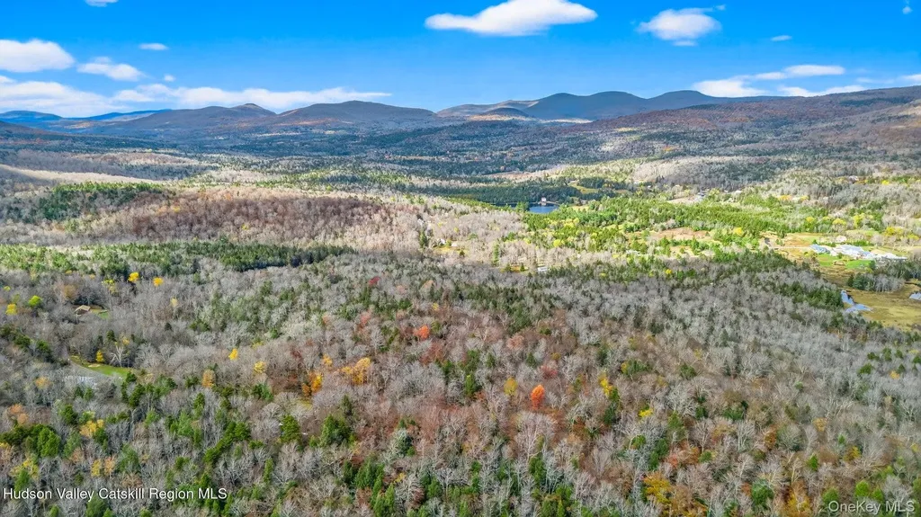 3 Corfu Road Hunter NY 12427