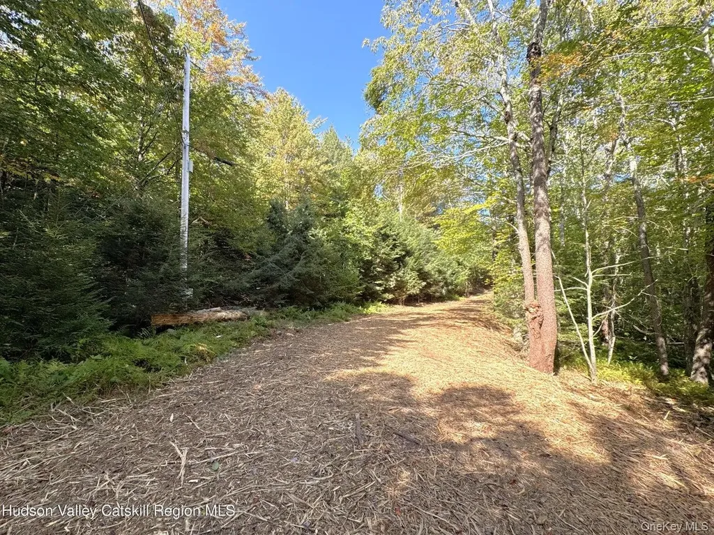 3 Corfu Road Hunter NY 12427