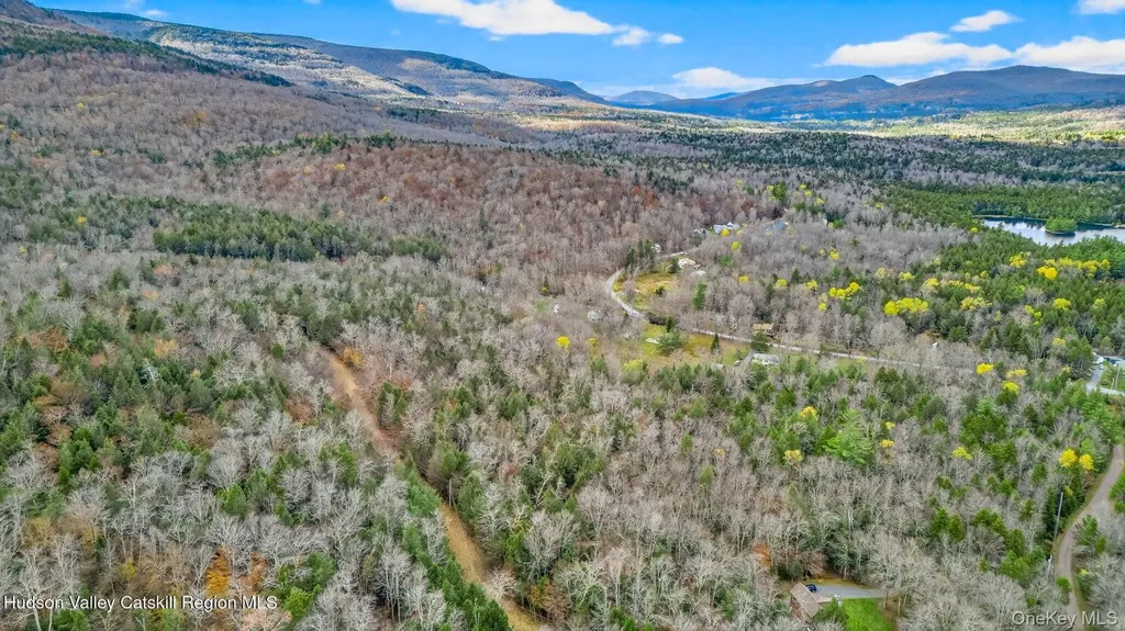 3 Corfu Road Hunter NY 12427