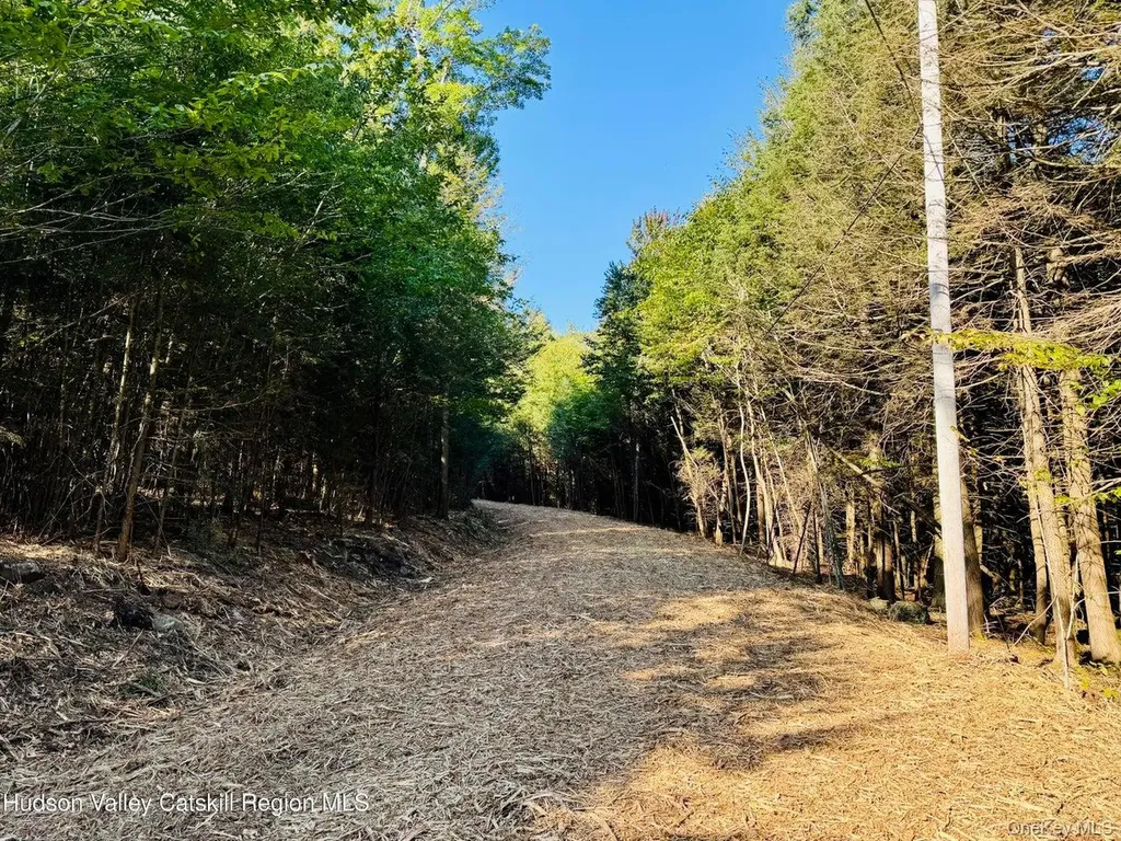 1 Corfu Hunter NY 12427
