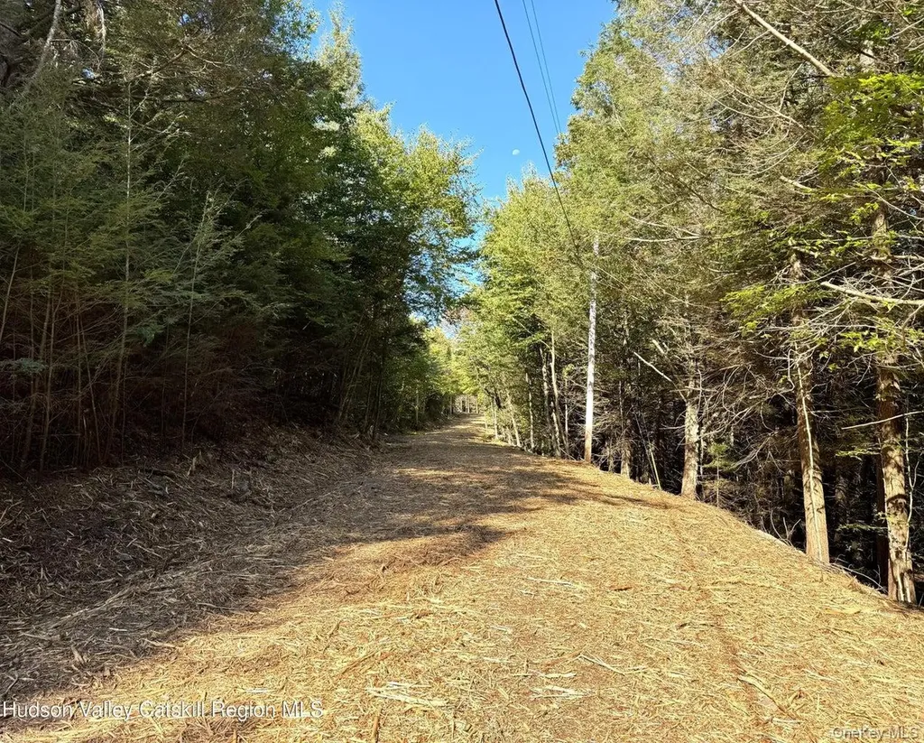 1 Corfu Hunter NY 12427