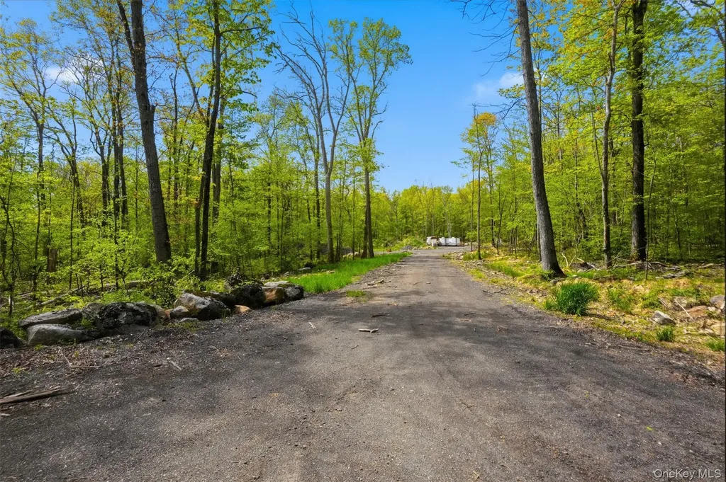 51 Redder Road Pine Bush NY 12566