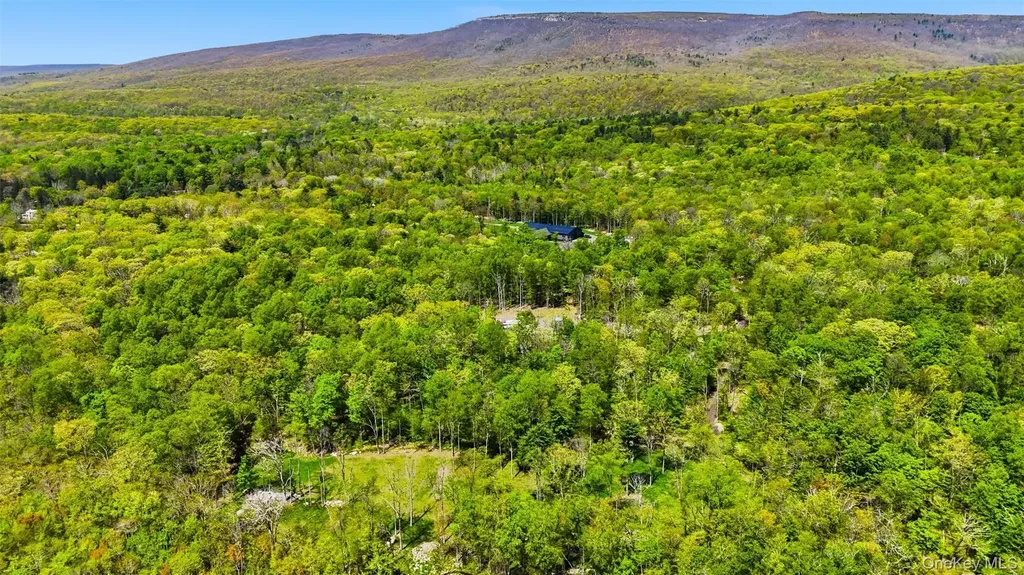 51 Redder Road Pine Bush NY 12566