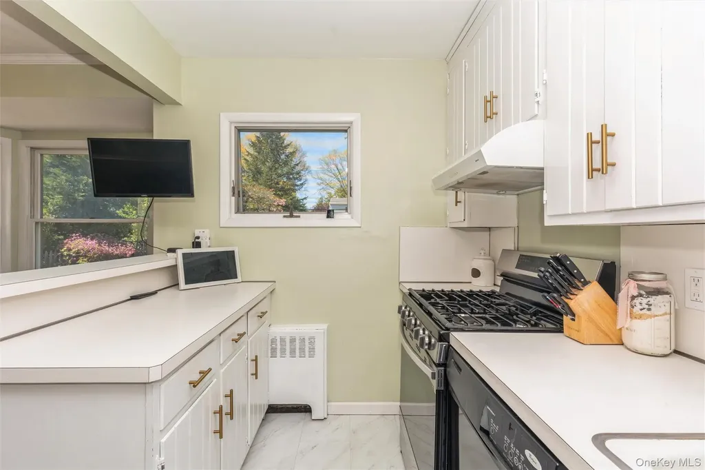 157 Chestnut Street Garden City NY 11530