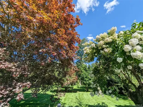 124 Lincoln Avenue Purchase NY 10577