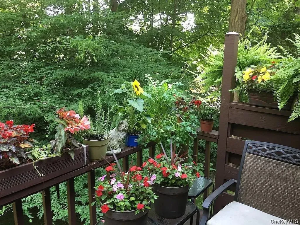 249 Mill River Road Chappaqua NY 10514