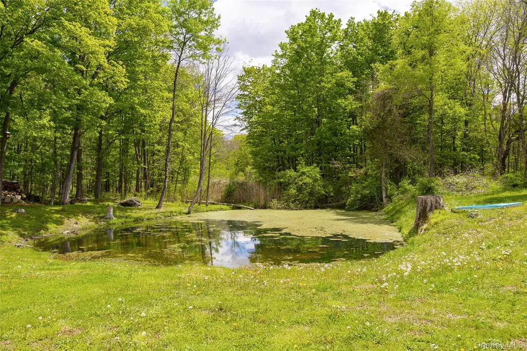 175 Nevis Road Tivoli NY 12583