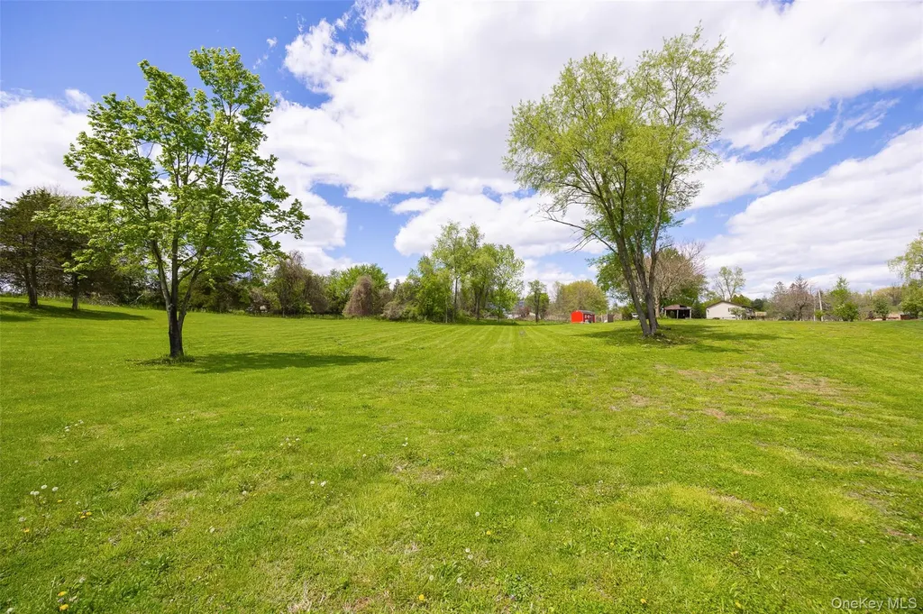 175 Nevis Road Tivoli NY 12583