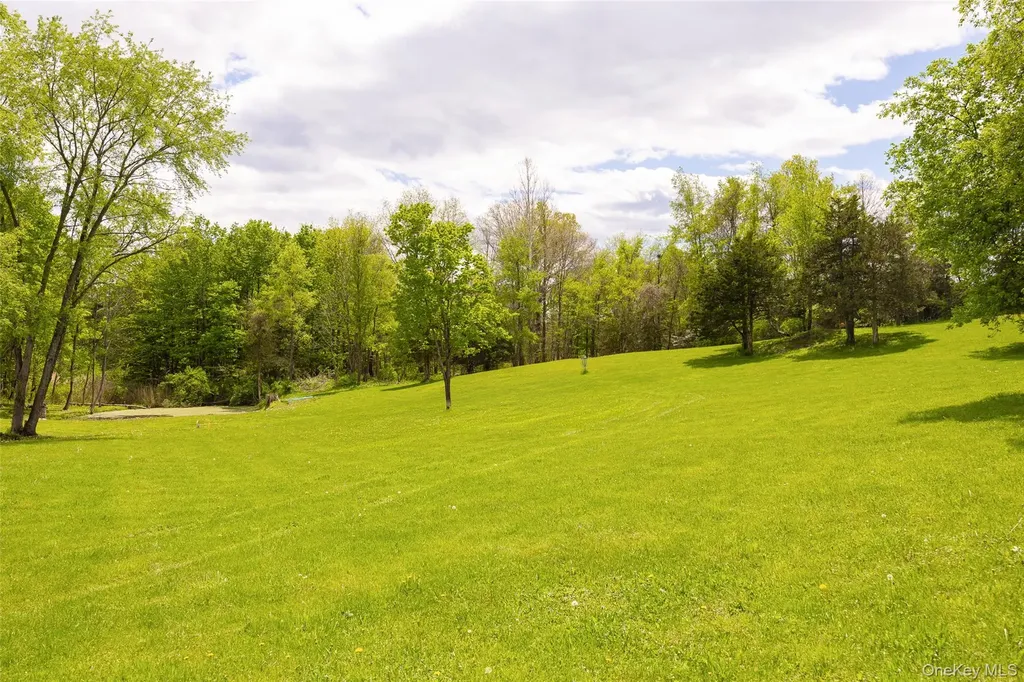 175 Nevis Road Tivoli NY 12583