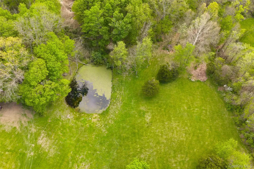 175 Nevis Road Tivoli NY 12583