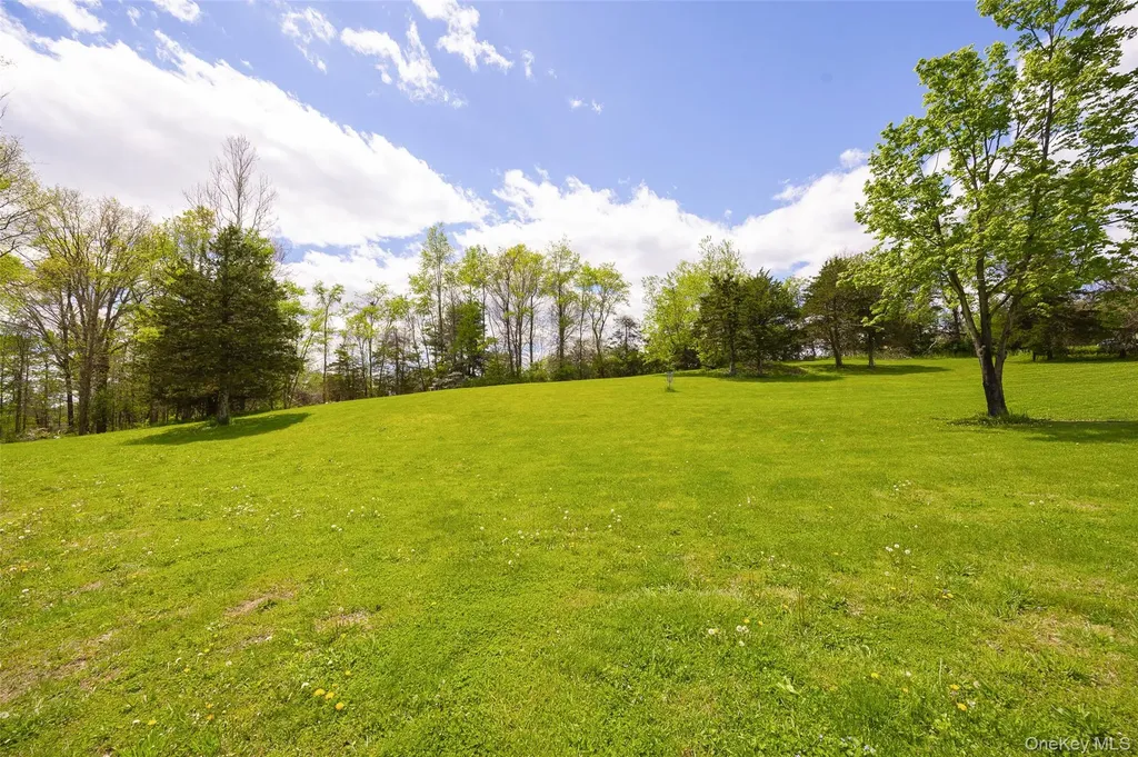 175 Nevis Road Tivoli NY 12583