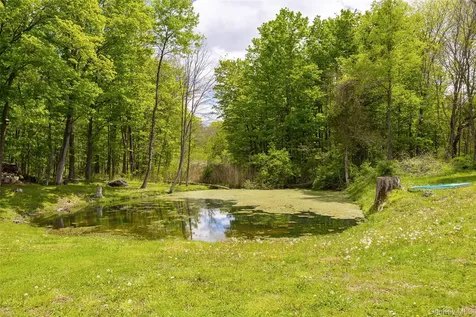 175 Nevis Road Tivoli NY 12583
