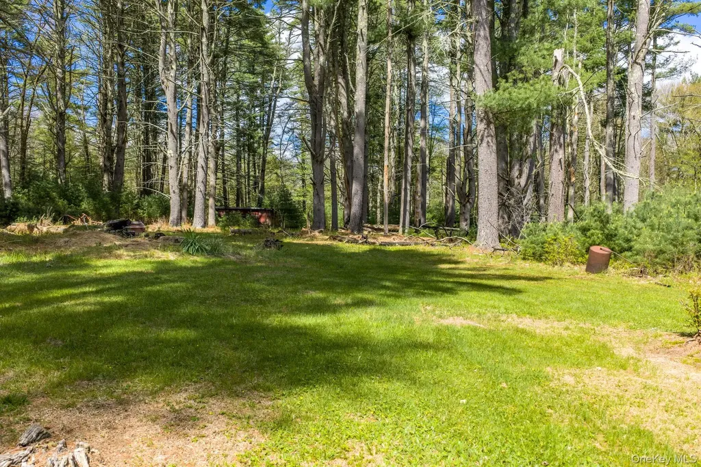 1124 State Route 42 Sparrowbush NY 12780