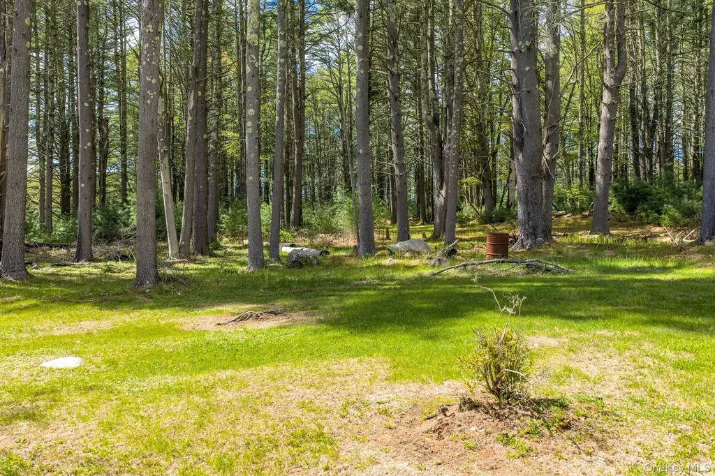 1124 State Route 42 Sparrowbush NY 12780