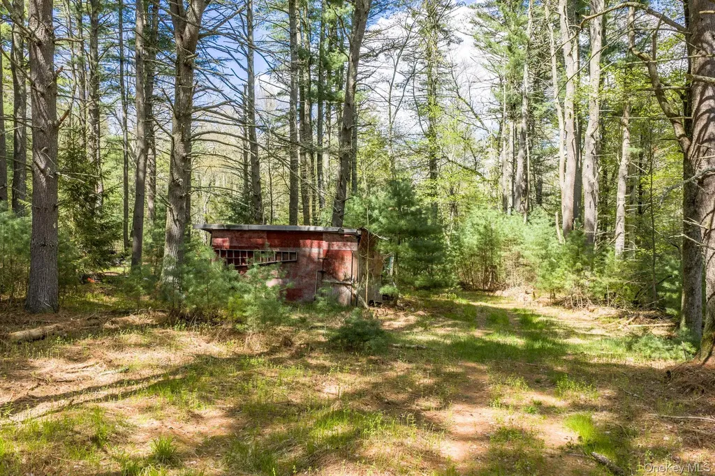 1124 State Route 42 Sparrowbush NY 12780