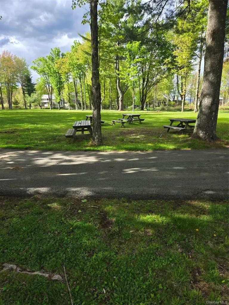 36 Beaver Brook Road Eldred NY 12792