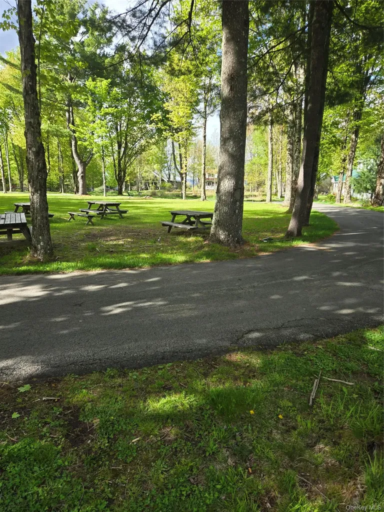 36 Beaver Brook Road Eldred NY 12792