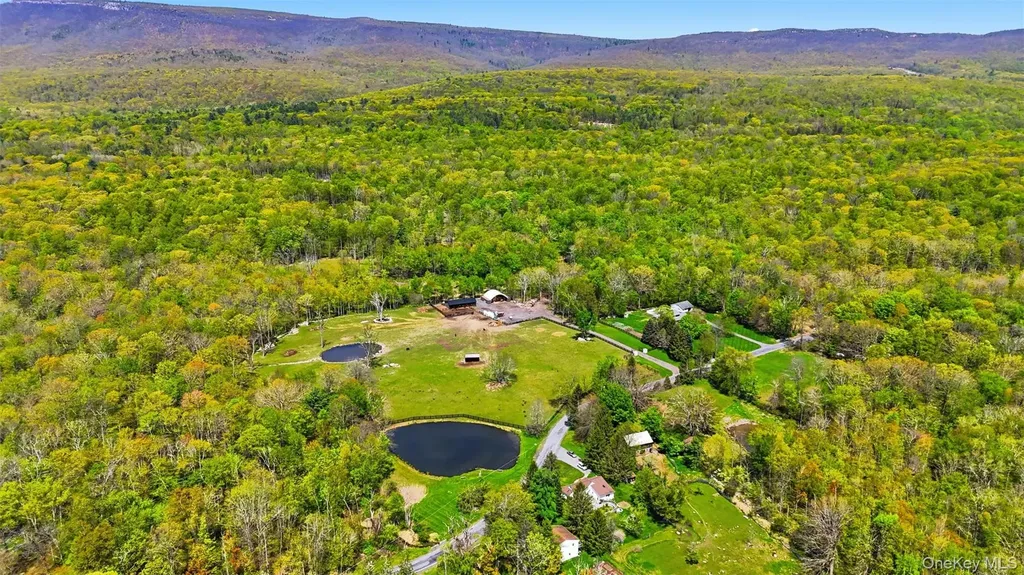 51 Redder Road Pine Bush NY 12566