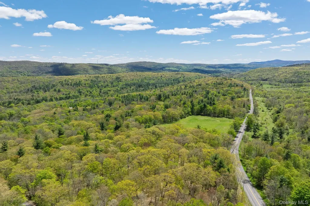 0 County Route 21 Hillsdale NY 12529