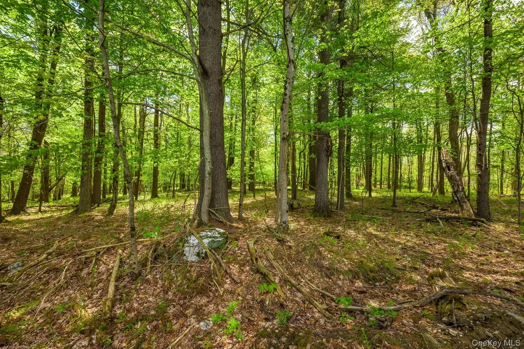 0 County Route 21 Hillsdale NY 12529
