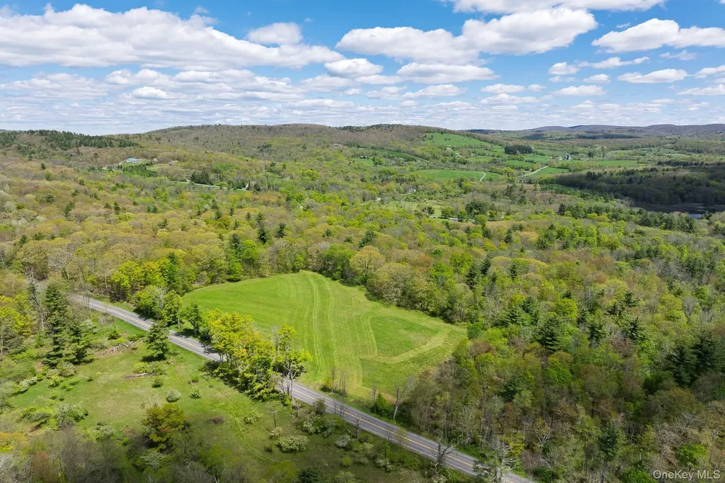 0 County Route 21 Hillsdale NY 12529
