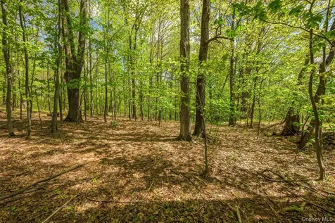 0 County Route 21 Hillsdale NY 12529