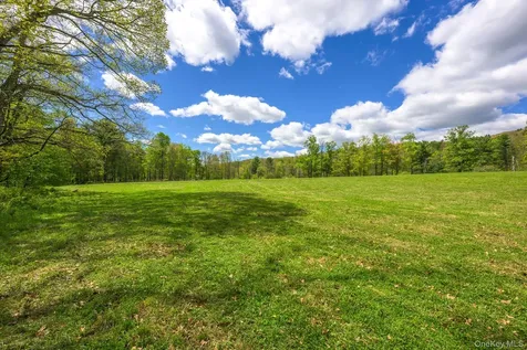 0 County Route 21 Hillsdale NY 12529