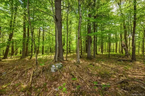 0 County Route 21 Hillsdale NY 12529
