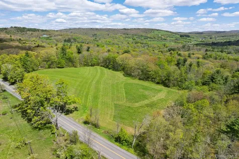 0 County Route 21 Hillsdale NY 12529