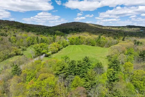 0 County Route 21 Hillsdale NY 12529