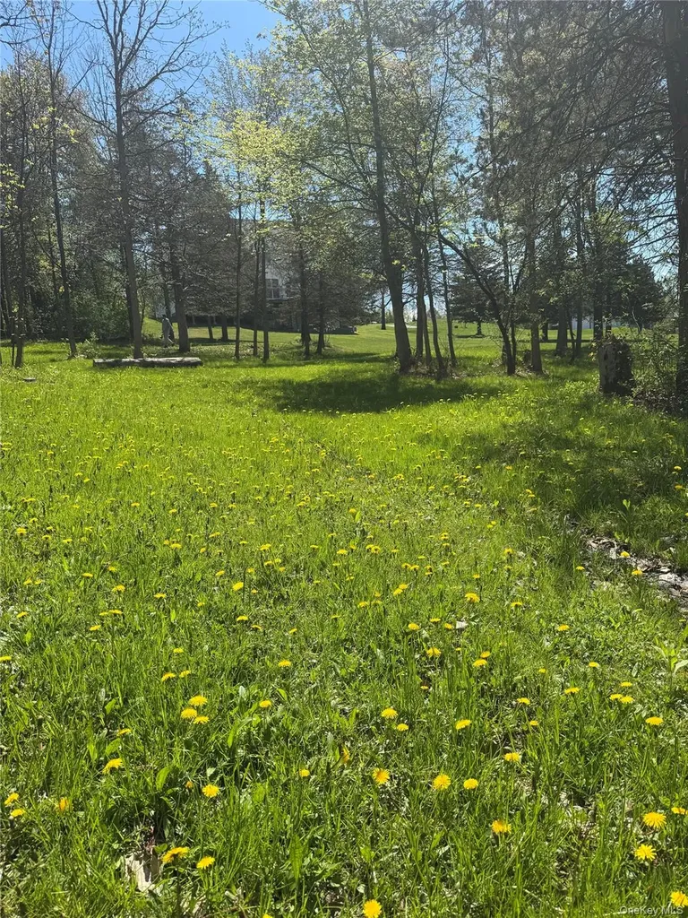 2 Brenner Hollow Road Pleasant Valley NY 12569