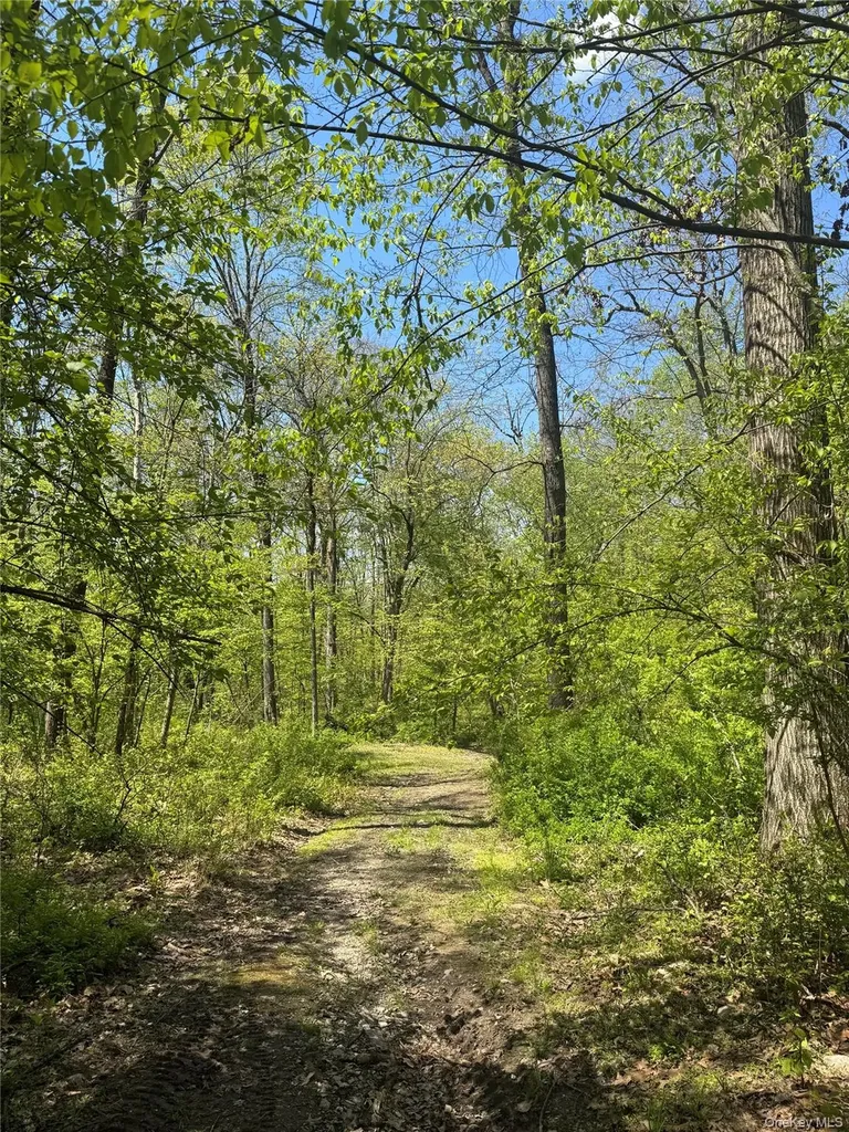 2 Brenner Hollow Road Pleasant Valley NY 12569