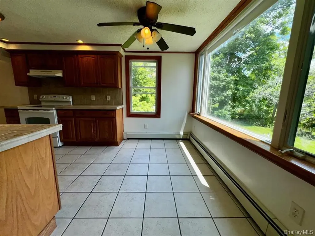 8 Lake Avenue Monroe NY 10950