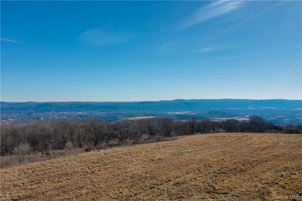 1297 Route 343 Dover Plains NY 12522