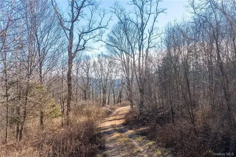 1297 Route 343 Dover Plains NY 12522