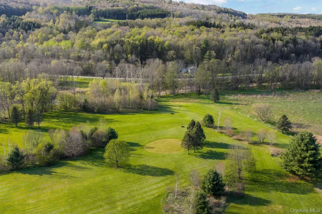 42565 Route 28 Middletown NY 12455