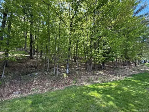 Westwood Avenue Ellenville NY 12428