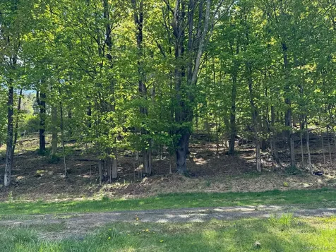 Westwood Avenue Ellenville NY 12428