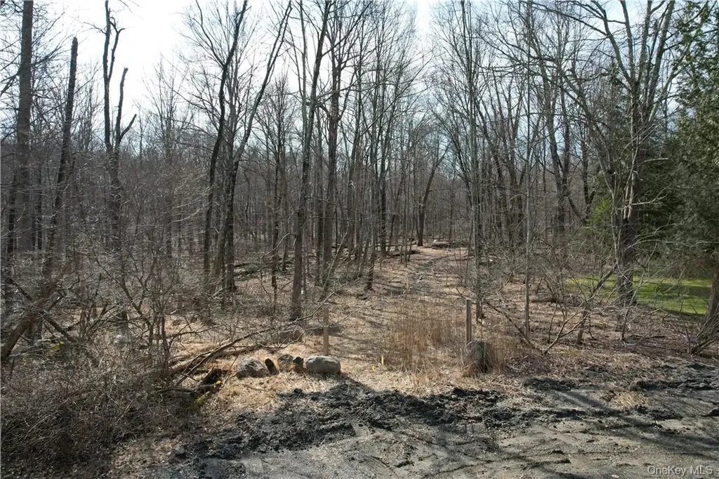 Owen Drive Mahopac NY 10512