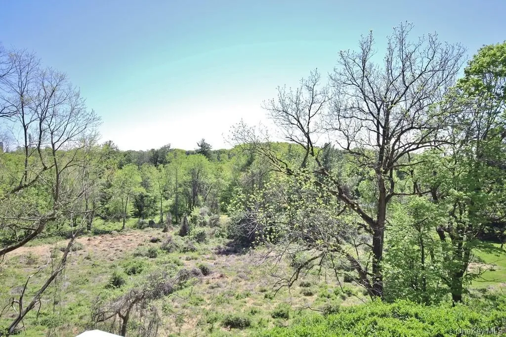 28 Argyle Place Briarcliff Manor NY 10510