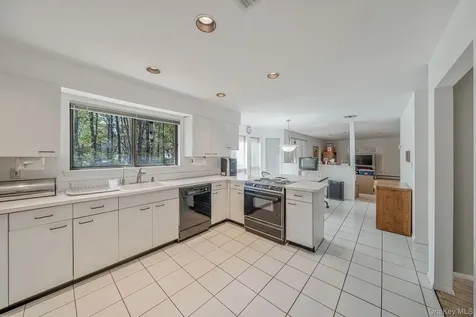 10 Lily Drive South Setauket NY 11720