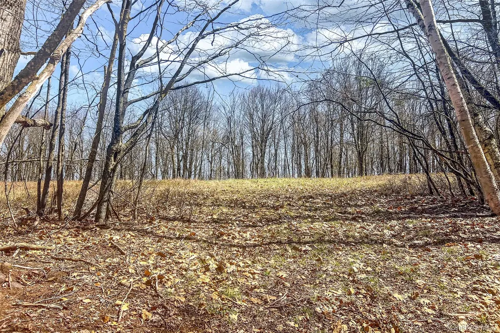 Frank Slawson Road Other NY 13820