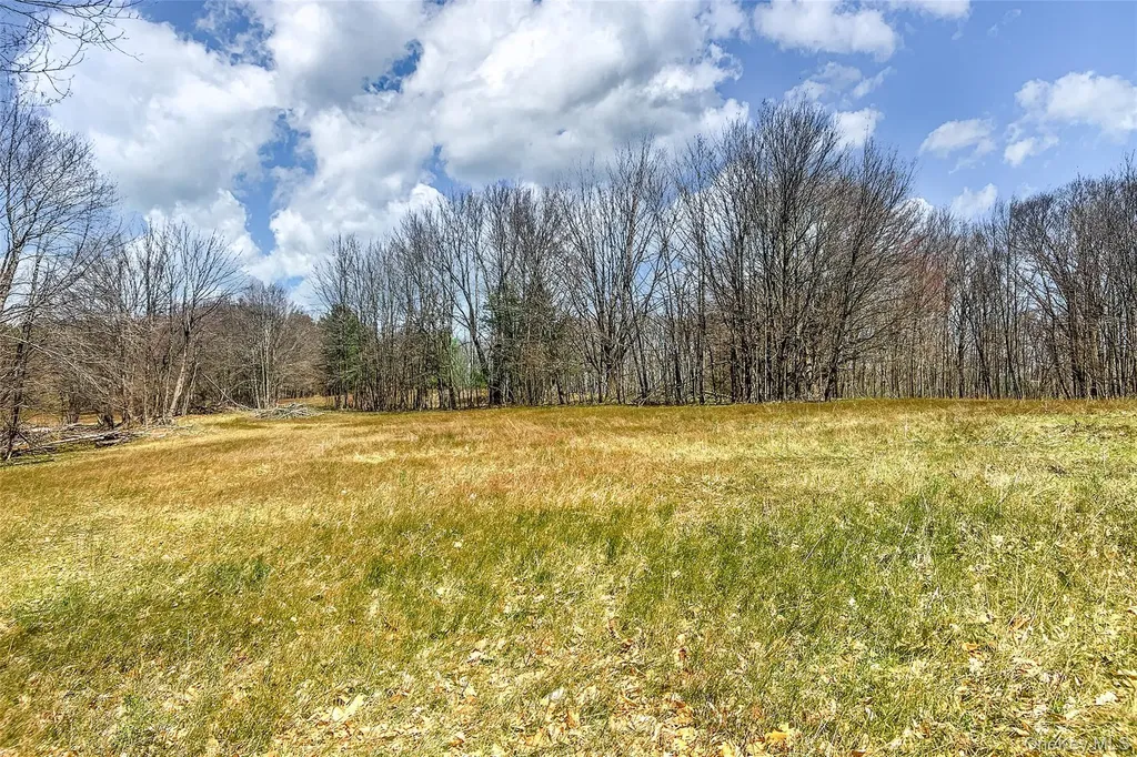 Frank Slawson Road Other NY 13820