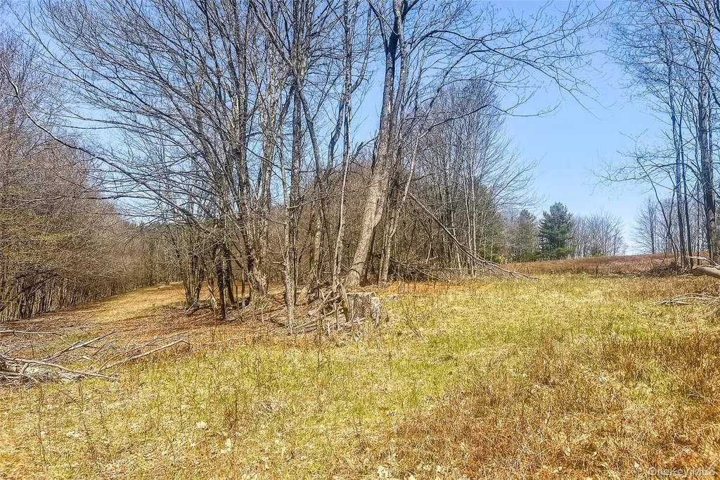 Frank Slawson Road Other NY 13820