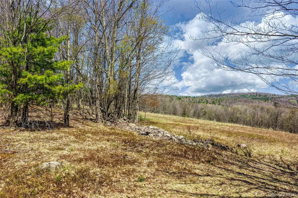 Frank Slawson Road Other NY 13820