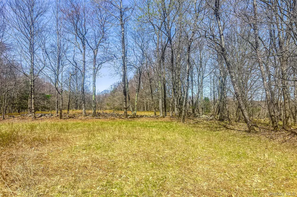 Frank Slawson Road Other NY 13820