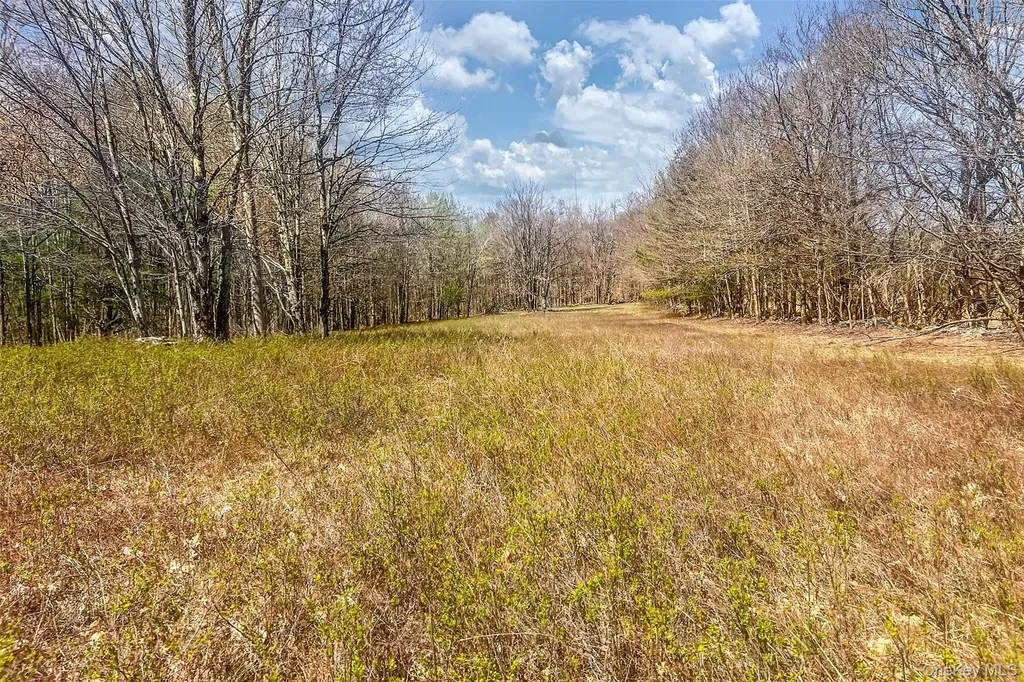 Frank Slawson Road Other NY 13820