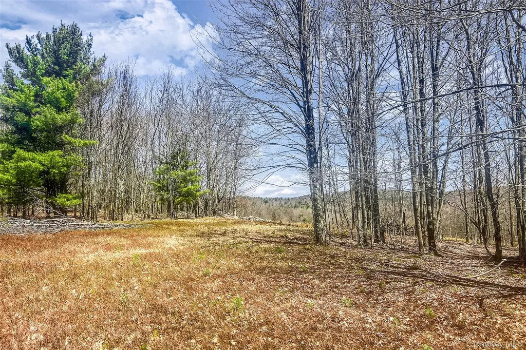 Frank Slawson Road Other NY 13820